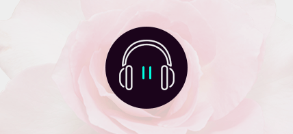 stop to play audio